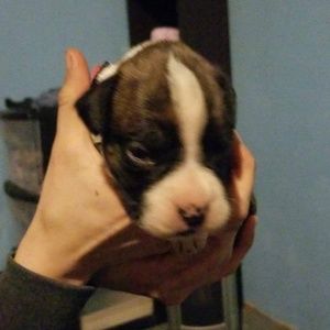 Meet your Posher, Jenni